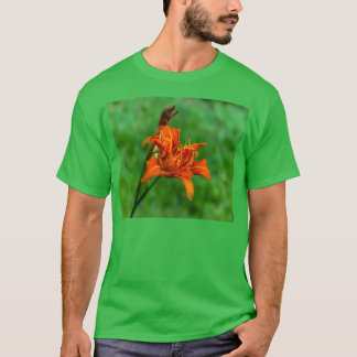 Orange Taglilie 1 T-Shirt