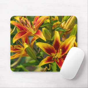 Orange Taglilie Kanadische Blumenfotografie Mousepad