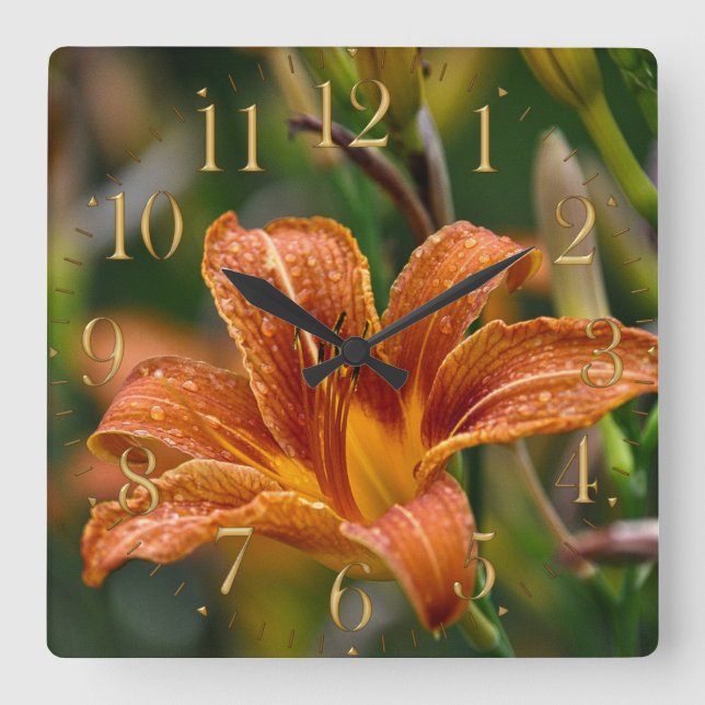 Orange Taglilie-u. Regentropfen-Blumen-Foto Quadratische Wanduhr (Vorderseite)