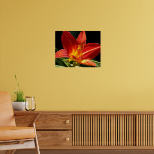Orange Taglilienblüte Florale Fotografie Poster