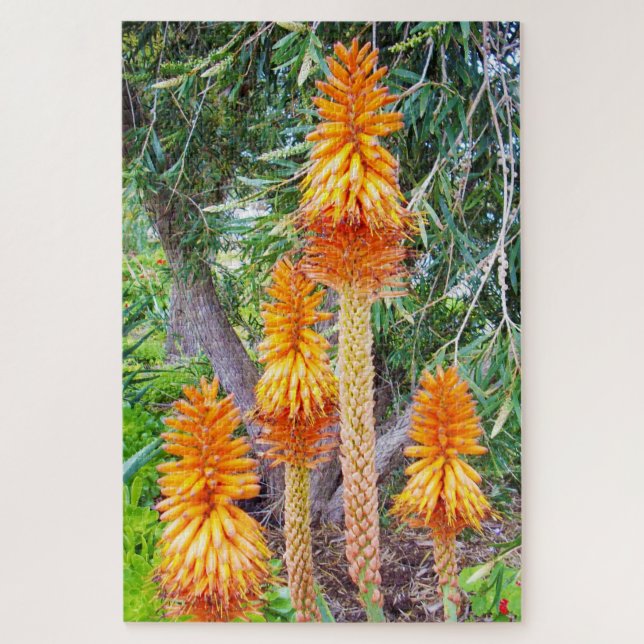 Orange Tall Hot Poker Blume, Puzzle (Vertikal)