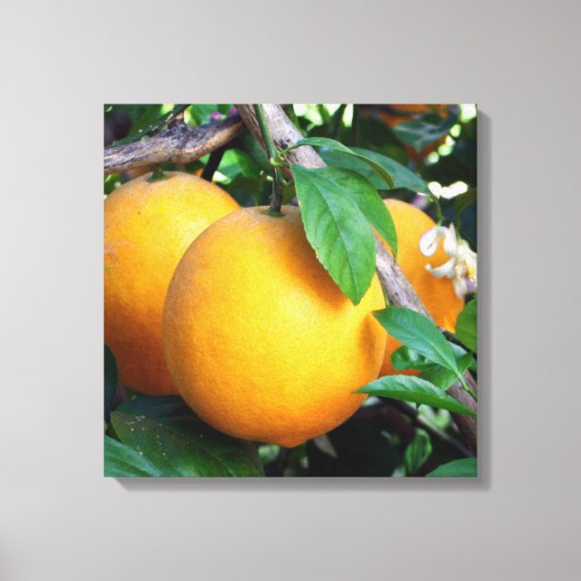Orange - Tangelo Leinwanddruck (Vorderseite)