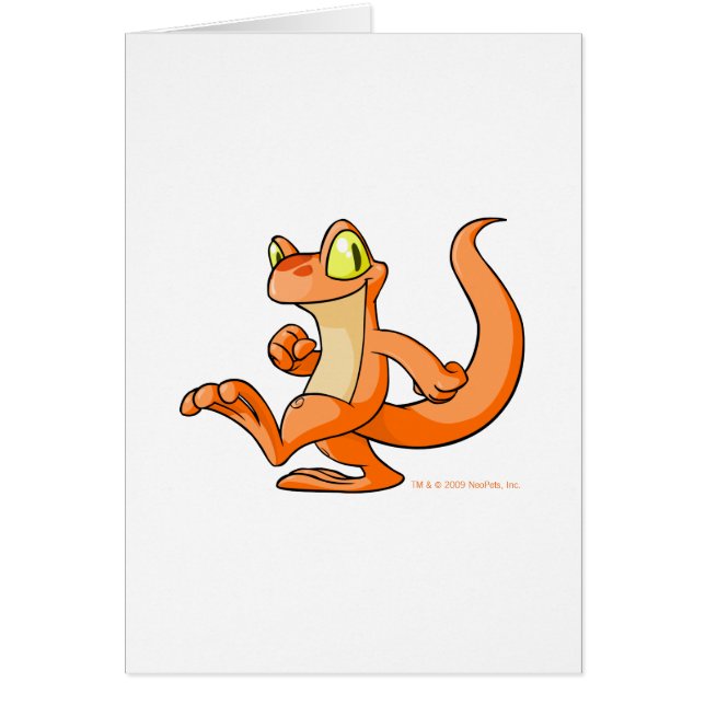 Orange Techo auf einer Suche (Vorne)