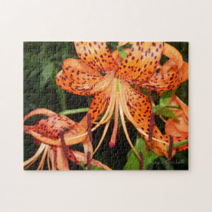 Orange Tiger-Lilie-Blumenpuzzle Puzzle