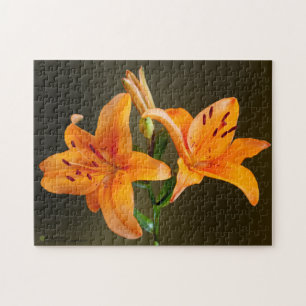 Orange Tiger Lilien Buds Nahe Fotografie Puzzle