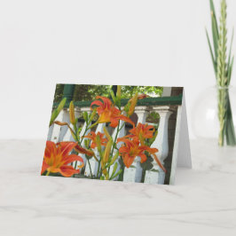 Orange Tiger Lilies - Martha's Vineyard Card Karte