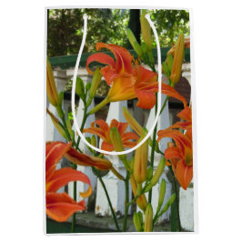Orange Tiger Lilies - Martha's Vineyard Mittlere Geschenktüte