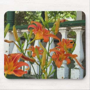 Orange Tiger Lilies - Martha's Vineyard Mousepad