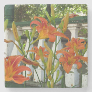 Orange Tiger Lilies - Martha's Vineyard Steinuntersetzer