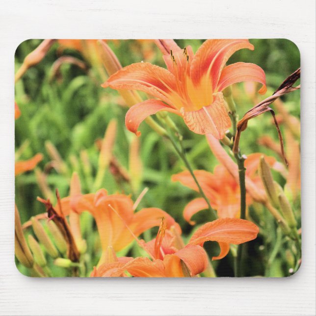 Orange Tiger Lilies Mousepad (Vorne)