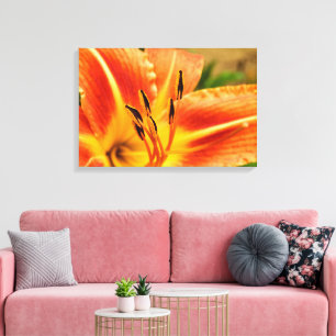 Orange Tiger Lily Leinwanddruck