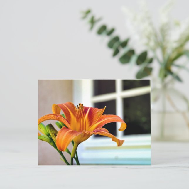 Orange Tiger Lily Postkarte (Stehend Vorderseite)
