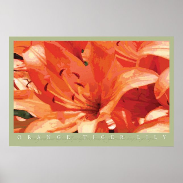 Orange Tiger Lily Print Poster (Vorne)