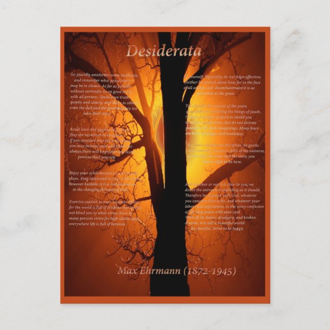 Orange Tree Postkarte (Vorderseite)