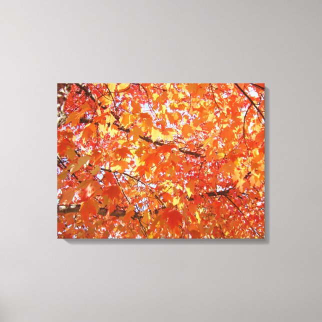 Orange Tree Verlasse Kunstdruckgeschenke Fall Land Leinwanddruck (Vorderseite)