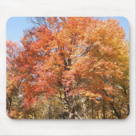 Orange Trees Mousepad