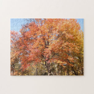Orange Trees Puzzle