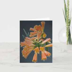 Orange Tropical Blume Note Card Karte
