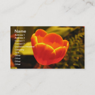Orange Tulip Business Card Visitenkarte