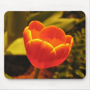 Orange Tulip Mouse Pad Mousepad