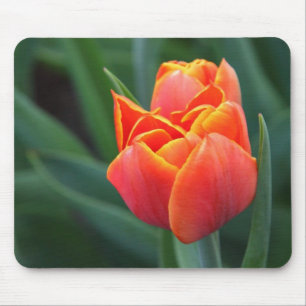 Orange Tulip Mousepad