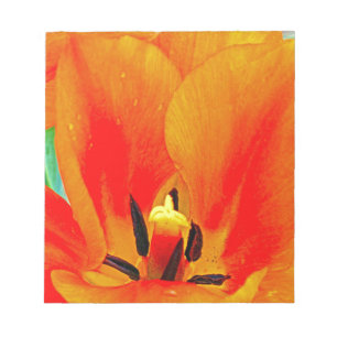 Orange Tulip Notizblock