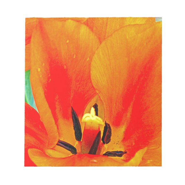 Orange Tulip Notizblock (Vorderseite)