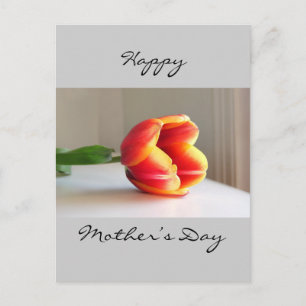 Orange Tulip Postkarte