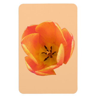 Orange Tulip Premium Magnet