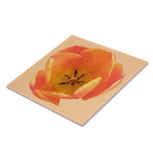 Orange Tulip Tile Fliese