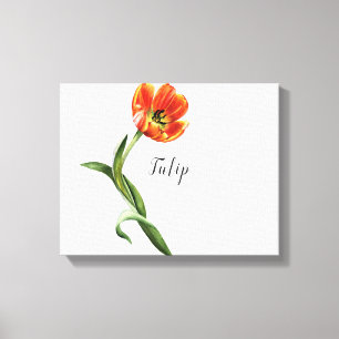 Orange Tulip Watercolor Canvas Print Leinwanddruck