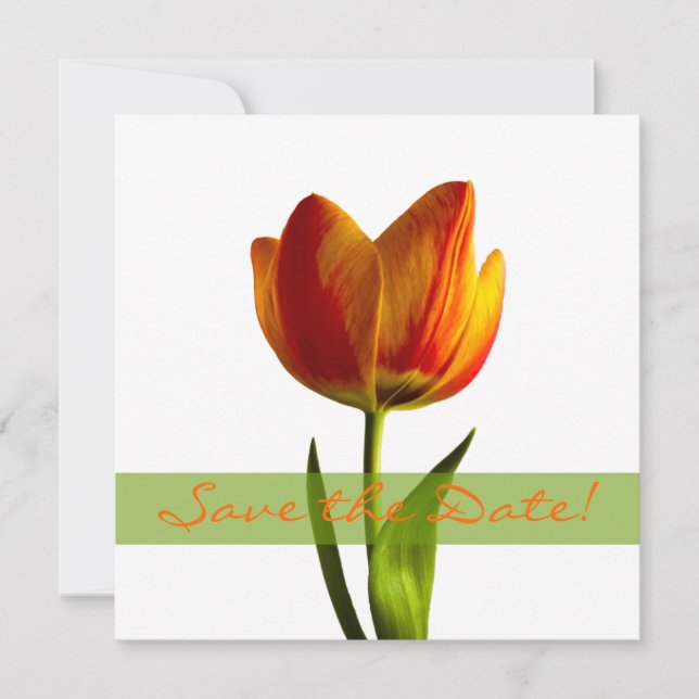 Orange Tulip Wedding Save the Date Announction (Vorderseite)