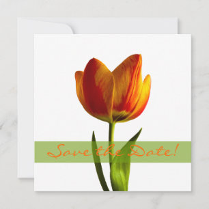 Orange Tulip Wedding Save the Date Announction