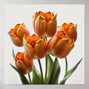 Orange Tulips Blume Art Print Poster