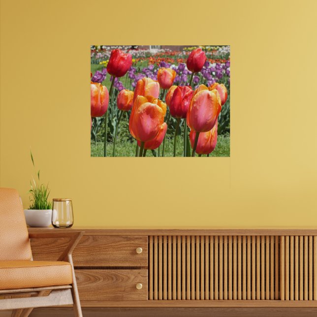 Orange Tulips, Elizabeth Park Gardens Hartford CT Poster (Wohnzimmer 2)