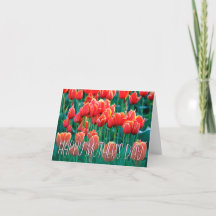 Orange Tulips Foto Happy Mother Day Card