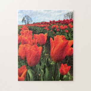Orange Tulips in a Field, Oregon Puzzle
