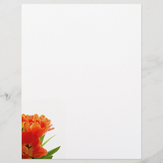 Orange Tulips Letterhead (Vorderseite)