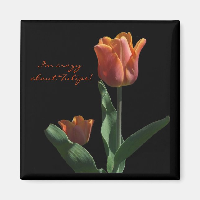 "Orange Tulips" Magnet (Vorne)