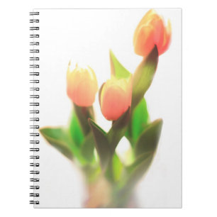 Orange Tulips Notizblock