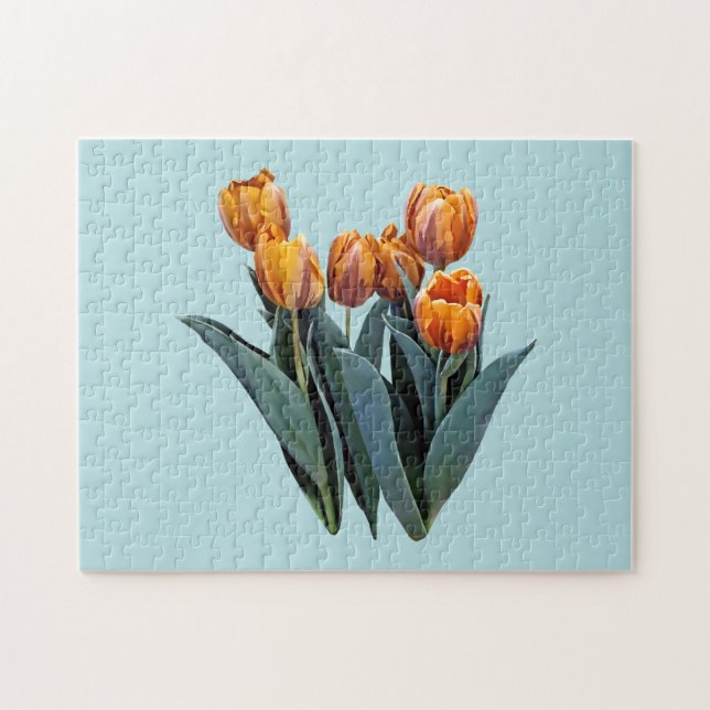 Orange Tulips Puzzle (Horizontal)