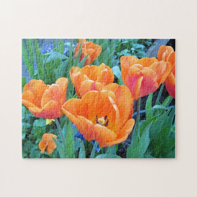 Orange Tulips Puzzle (Horizontal)