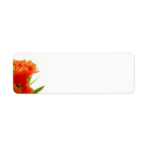 Orange Tulips Rücksendeadressen-Aufkleber