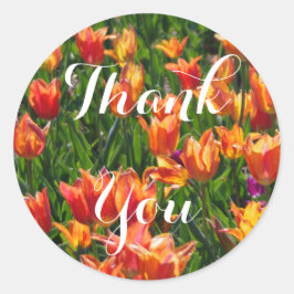 Orange Tulips Runder Aufkleber