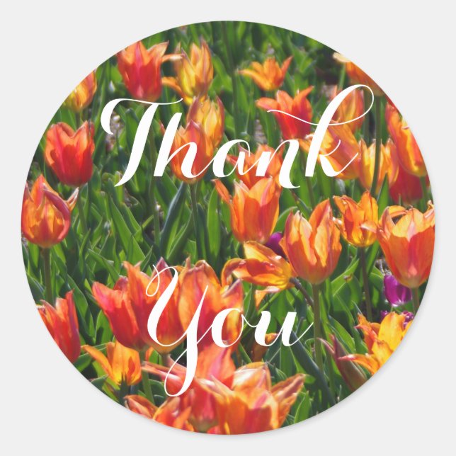 Orange Tulips Runder Aufkleber (Vorderseite)