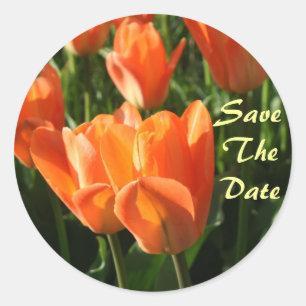 Orange Tulips Save the Date Hochzeitsticker Runder Aufkleber