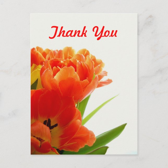 Orange Tulips Vielen Dank Postkarten (Vorderseite)