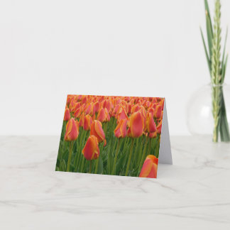 Orange Tulpe Fine Art Fotografie gefaltete Notizka Dankeskarte