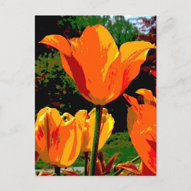 Orange Tulpe Postkarte (Vorderseite)