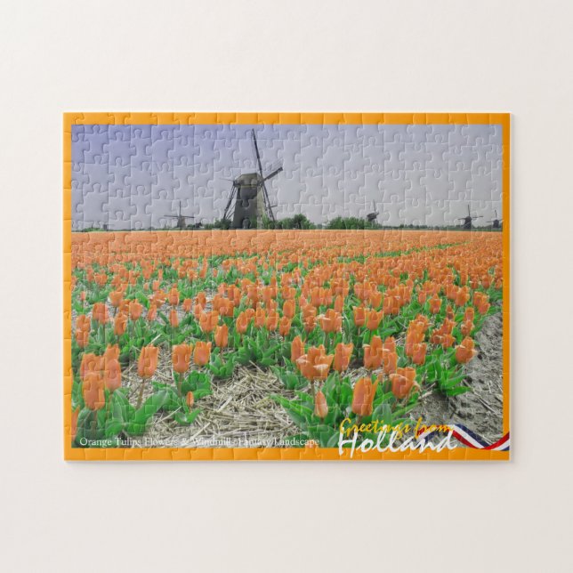 Orange Tulpe-u. Puzzle (Horizontal)